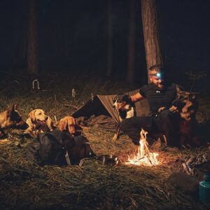 Intensivtraining - Bootcamp für Mensch und Hund