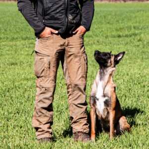 Hundepension