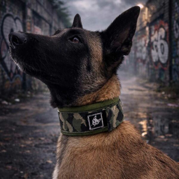 Teufels Hunde Patch klein