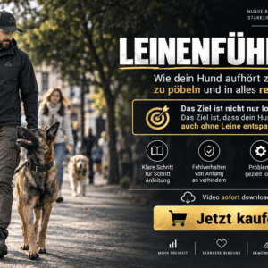 Thema: Leinenführung (Freifolge) einfach umsetzen