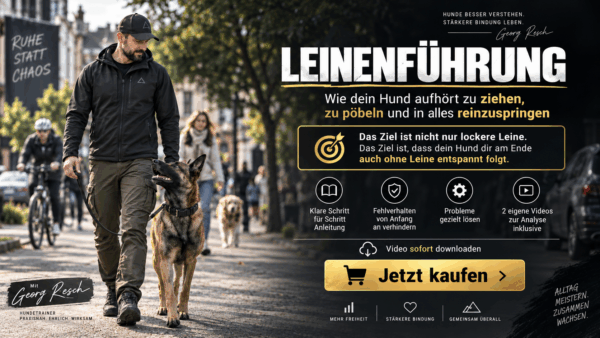 Thema: Leinenführung (Freifolge) einfach umsetzen